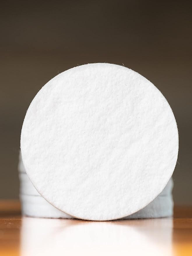 Toddy Filters (2-pack)