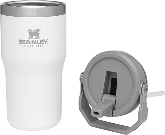 STANLEY IceFlow Flip Straw Tumbler with Handle 20 oz | Twist On Lid and Flip Up Straw | Leak Resistant Water Bottle | Insulated Stainless Steel |BPA-Free | Polar