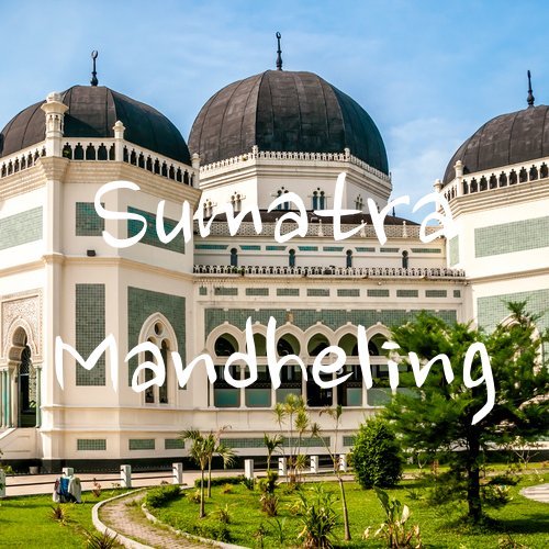 Sumatra Mandheling Coffee Beans, USDA Organic, Medium Roast, Whole Bean, Fresh Roasted, 5 lbs