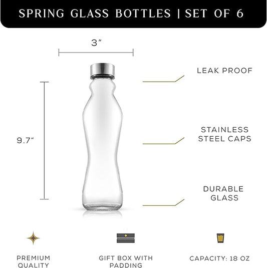 JoyJolt Spring Glass Water Bottles Set of 6-18 oz Glass Bottles with Stainless Steel Caps - Glass Drinking Bottles with Leakproof Lids - Reusable Glass Juice Bottle - Container Bottle Set