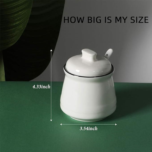 HAOTOP Porcelain Salt Bowl with Lid and Spoon,Ceramic Sugar Bowl 12oz (White)