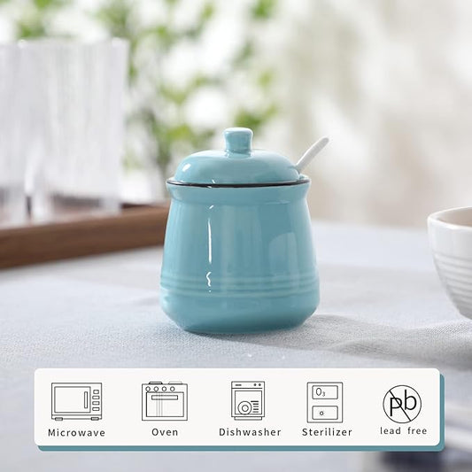 HAOTOP Porcelain Salt Bowl with Lid and Spoon,Ceramic Sugar Bowl 12oz (Turquoise)