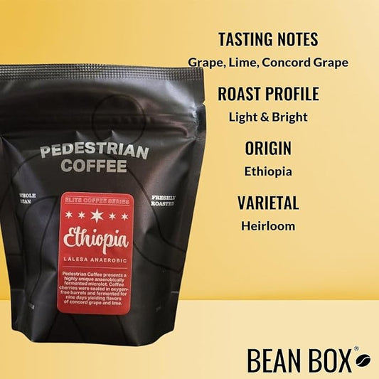 Bean Box Chicago Coffee Sampler, 2-Pack - Roasted by Pedestrian, Gourmet Arabica Coffee, Variety Pack - Freshly Ground