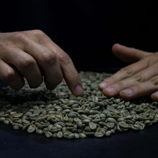 Coffee Adventures Green Unroasted Coffee Beans From Peru - Finca Santa Estela Single Estate Blend - Caturra, Catuaí, Catimor, Typica, Bourbon Blend - Direct Trade Green Coffee Beans for Coffee Roaster | 5 lb
