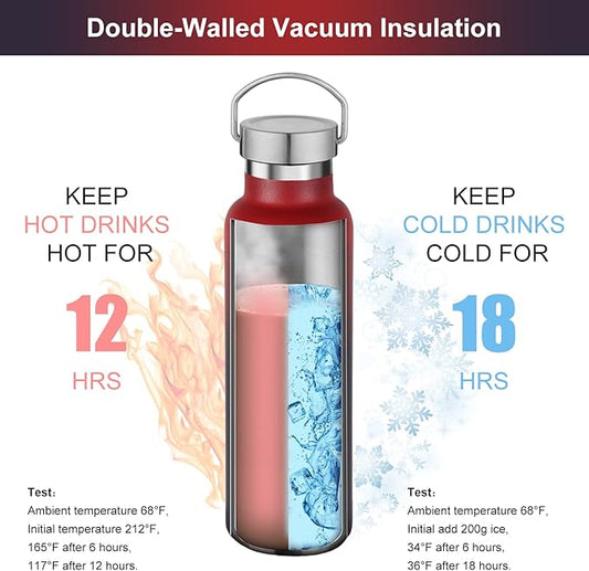 Neihepal 20 oz Insulated Water Bottles Bulk 4 Pack,Stainless Steel Double Wall Sport Bottle with Lid of Handle,Metal Reusable Thermoses Flask for School,Cyclists,Hikers,Gift (Assorted,Set of 4)