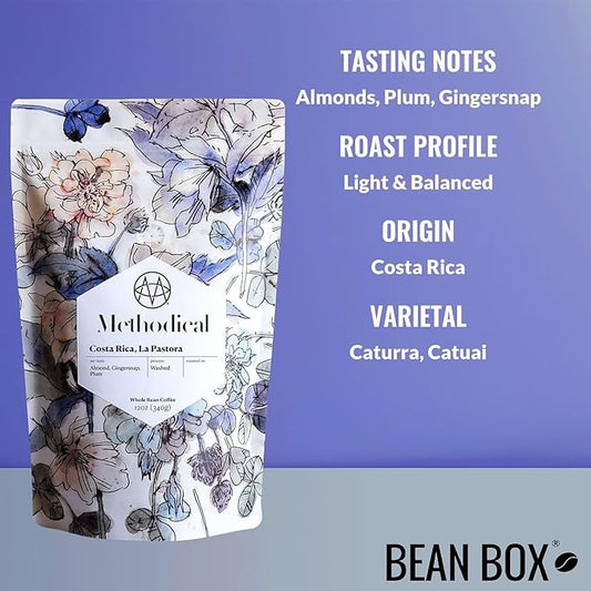 Costa Rica La Pastora - Roasted by Methodical Roasting - Whole Bean Coffee - 12 Ounce Bag