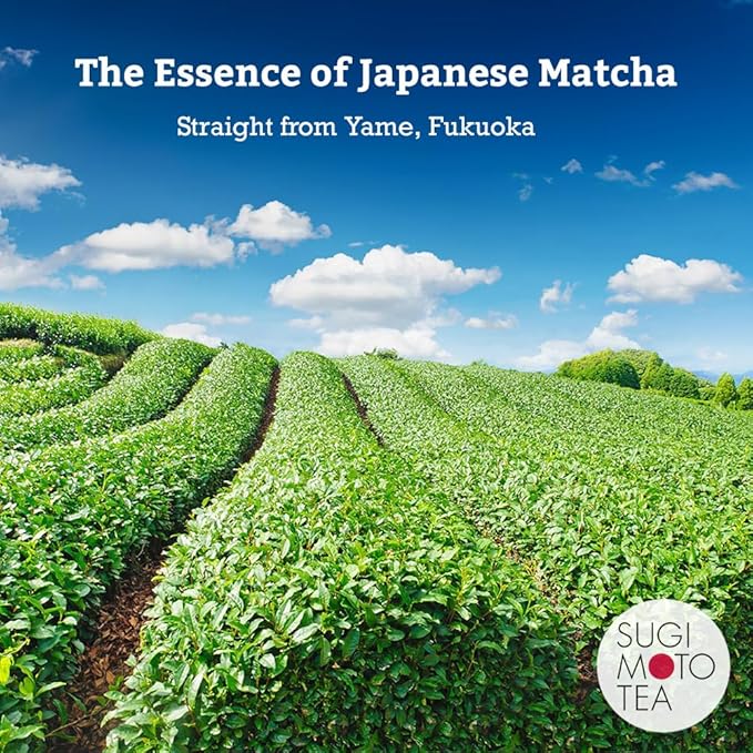 SUGIMOTO TEA Matcha Premium Grade Japanese Matcha Powder "URA" 1.05 oz (30 g)