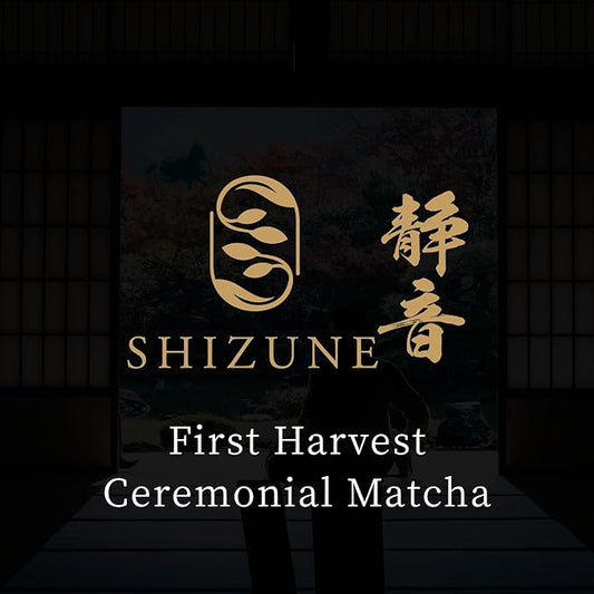 Shizune Matcha, Shizuoka Harvest Essential Grade – Authentic Japanese Matcha Green Tea Powder, 40g (1.4 oz) Tin