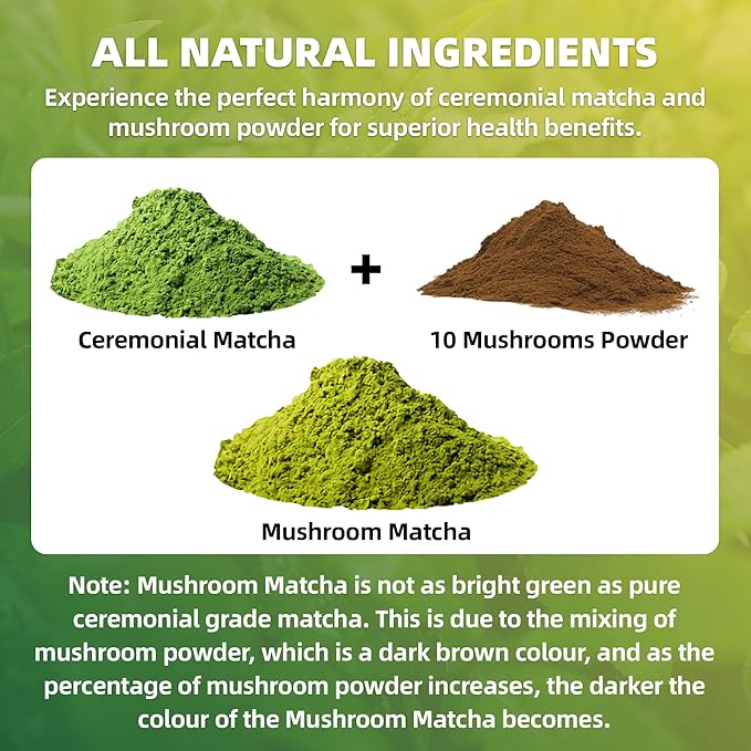 Mushroom Matcha, 10 Superfood Mushroom Powder Blend with Japanese Ceremonial Grade Matcha, Mushroom Coffee Alternative for Energy, Focus, Immunity