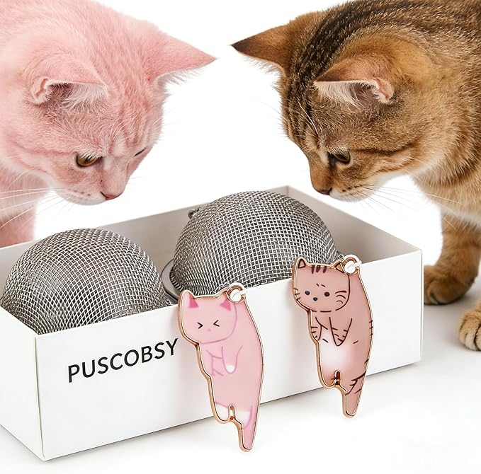 Cat Tea Infuser Set 2PCS, Loose Leaf Tea Strainers with Cute Alloy Charm, Stainless Steel Mesh Steeper for Flower Fruits Spices Herbal Tea and Cold Brew