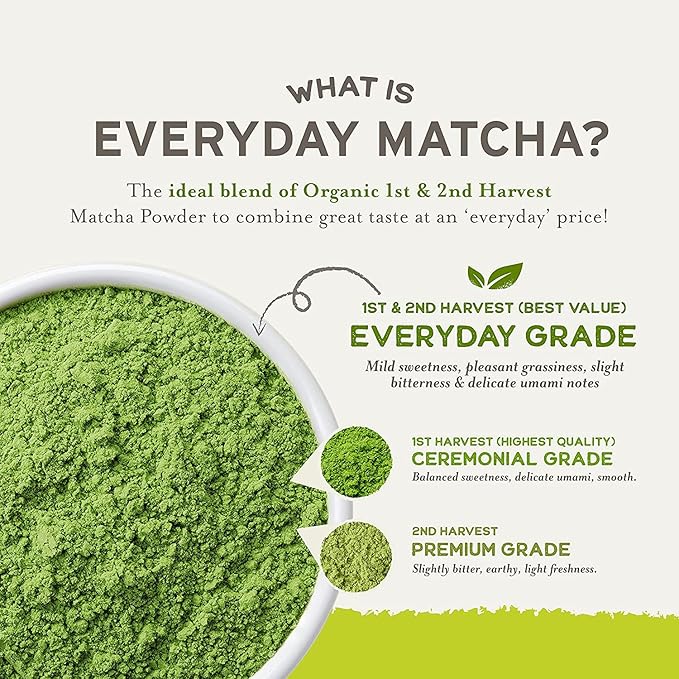 Sencha Eveyrday Natural USDA Organic Matcha Green Tea Powder Rich Antioxidant Revitalizing Body Helathy Gluten Free Product 100% Vegan Diet - 12oz (Pack of 1)