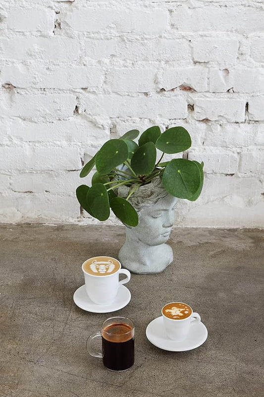De'Longhi DLSC308 Porcelain Espresso Cup & Saucer, Set of 2,70 ml