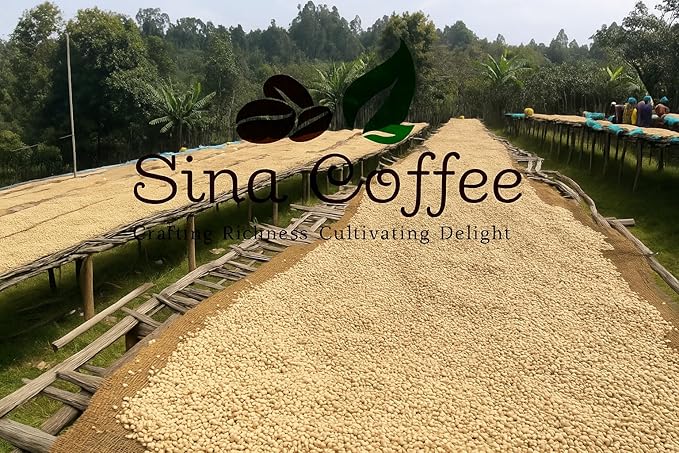 SINA COFFEE Premium 100% Arabica Ethiopian Coffee - Guji Single Origin Medium Roast Whole Bean Coffee - 16oz Freshly Roasted