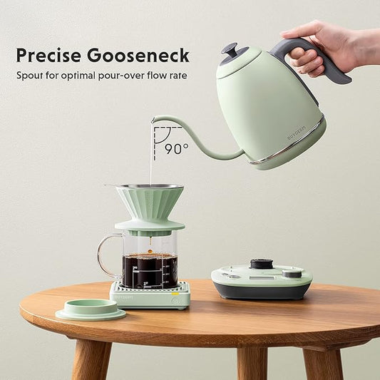 BUYDEEM K821 Electric Gooseneck Kettle with Variable Temperature Control, Pour Over Coffee Tea Kettle, Durable 18/8 Stainless Steel, Auto Keep Warm & Built in Brewing Timer, 0.8L
