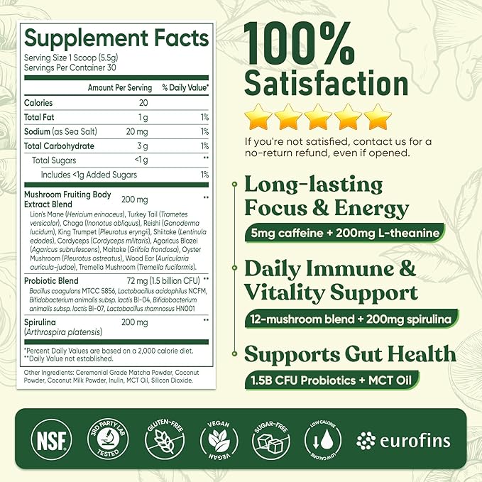 Venture Pal SUPERFOODS Mushroom Matcha Powder – 12 Adaptogenic Mushroom Coffee Alternative with 1.5B Probiotics & L-Theanine, First Harvest Ceremonial Matcha for Focus & Energy, 30 Servings