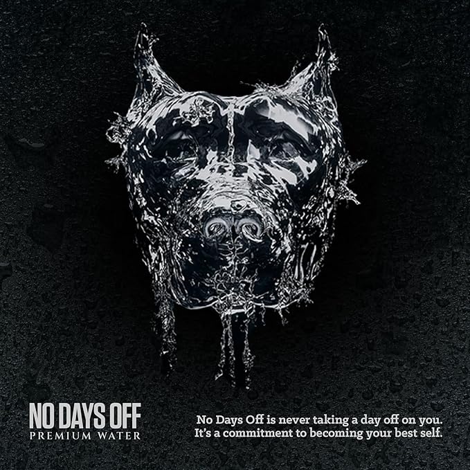 NO DAYS OFF Premium Sparkling Water - 12 Pack,16 fl oz, Sparkling (Unflavored) - Ultra-Purified Reverse Osmosis with Gentle Carbonation, Served in BPA-free 100% Recyclable Cans
