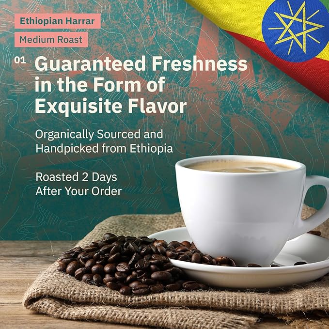 Organic Ethiopian Whole Bean Specialty Coffee Medium Roast - 12 oz, Single Origin Ethiopian Harrar Beans, Fair Trade, Chocolate & Fruity Notes - Roasted To Order