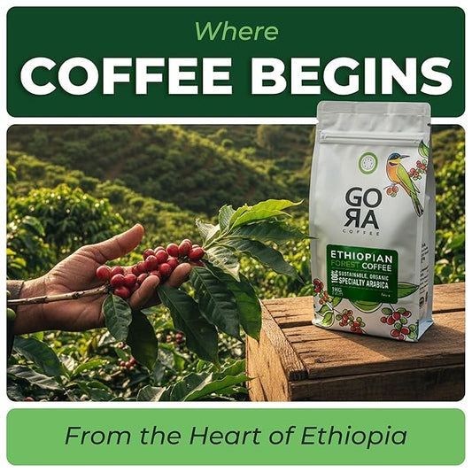 GO RA COFFEE – Ethiopian Roast Whole Bean – Organic Arabica from Ethiopia – Mycotoxin-Free, Single Origin African Beans – Roasted at Source – 250g (8.82 oz) – by Moyee Coffee