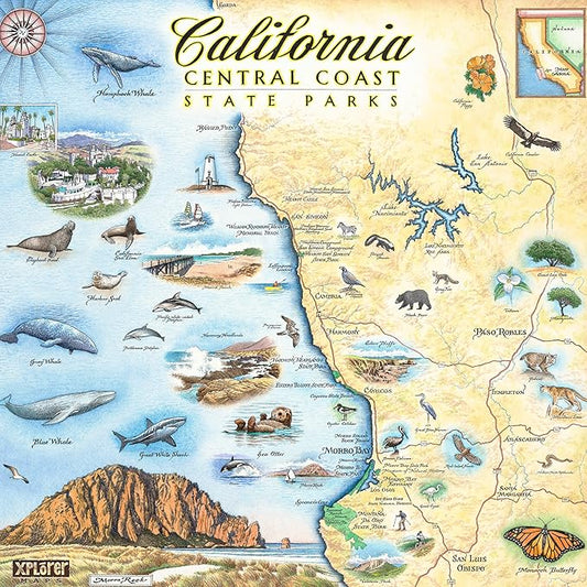 California Central Coast Ceramic Coaster with Cork Base - Set of 4