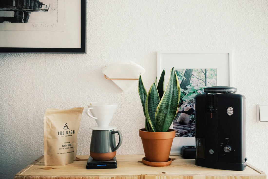 Beginner’s Guide to Home Coffee: Essential Tools & Tips for Starters