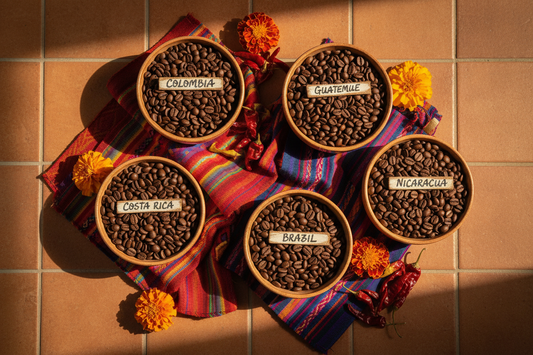 Latin American coffee beans from Colombia, Guatemala, Costa Rica, Brazil, and Nicaragua displayed in ceramic bowls on a terracotta surface with colorful textile and marigold flowers