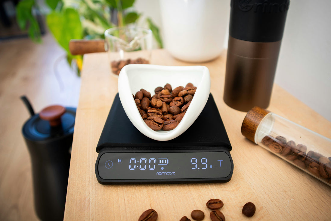 Best Coffee Grinders for Fresh Coffee: From Blade to Burr