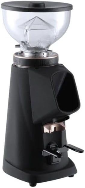 Fiorenzato All Ground Burr Grinder/Coffee Grinder for Home/Burr Coffee Ginder/Electric Coffee Ginder/Coffee Bean Grinder - 64mm flat burrs with Container - Made in Italy