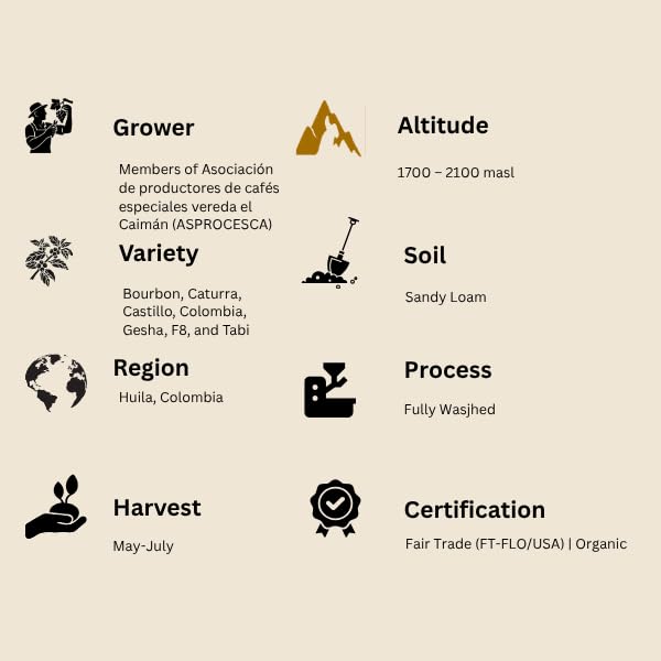 Harlo Coffee Roasters Colombian Single Origin Organic Medium Roast Whole Bean Coffee, 12 oz Bag, Peach Cherry and Blackberry Notes, 100% Arabica