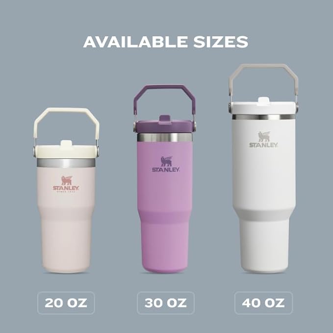 Stanley IceFlow 2.0 Flip Straw Tumbler with Handle 30 oz | Twist On Lid and Flip Up Straw | Leak Resistant Water Bottle | Insulated Stainless Steel | BPA-Free | Dried Pine