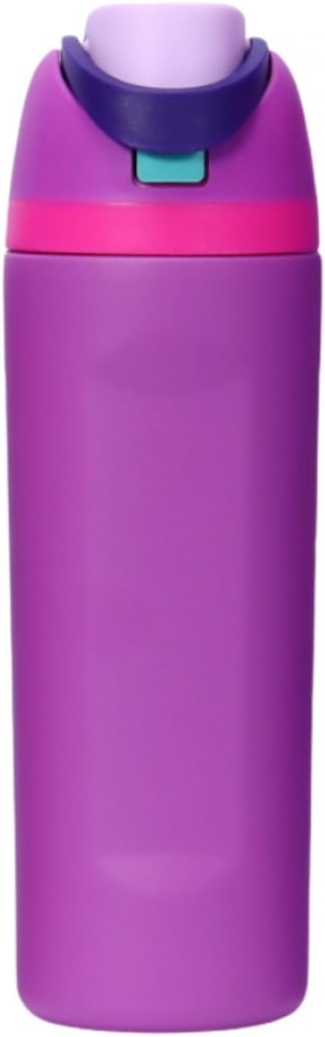 DUTHINGS Insulated Stainless Steel Water Bottle with Straw, 24 oz – Leakproof, BPA-Free Reusable Sports & Travel Bottle with Replacement Straw and Cleaning Brush (Purple)