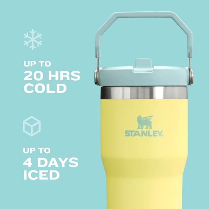 Stanley IceFlow 2.0 Flip Straw Tumbler with Handle 30 oz | Twist On Lid and Flip Up Straw | Leak Resistant Water Bottle | Insulated Stainless Steel | BPA-Free | Dried Pine