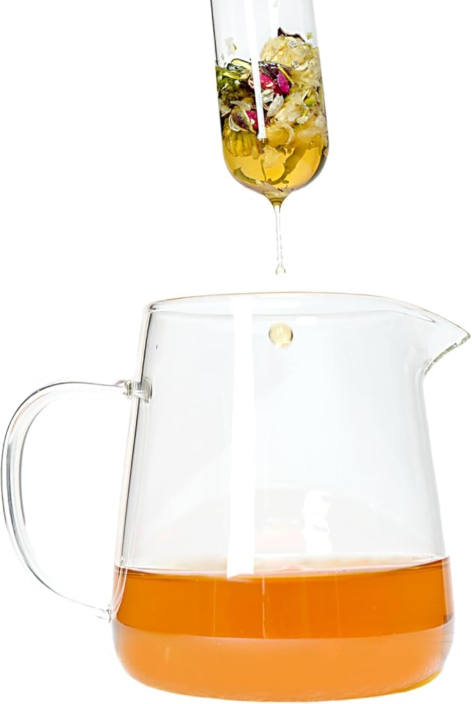 2 PCS Glass Tea Infusers for Loose Tea——Reusable Round filter holes Tea Glass Strainers with Cork Lid & Teaspoon & Cleaning Brus