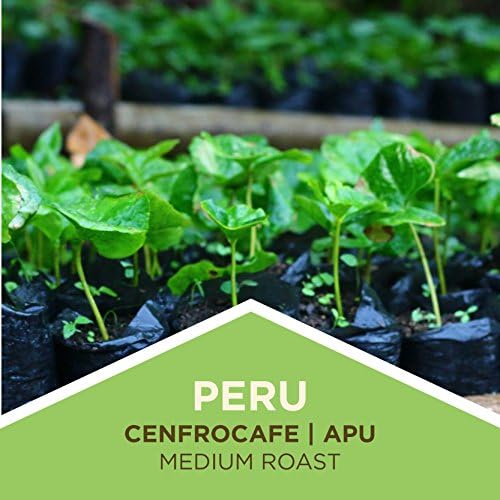 Tiny Footprint Coffee - Fair Trade Organic Peru APU Medium Roast - Whole Bean Coffee, USDA Organic & Carbon Negative - You Drink Coffee, We Plant Trees, 16 Ounce,9849109
