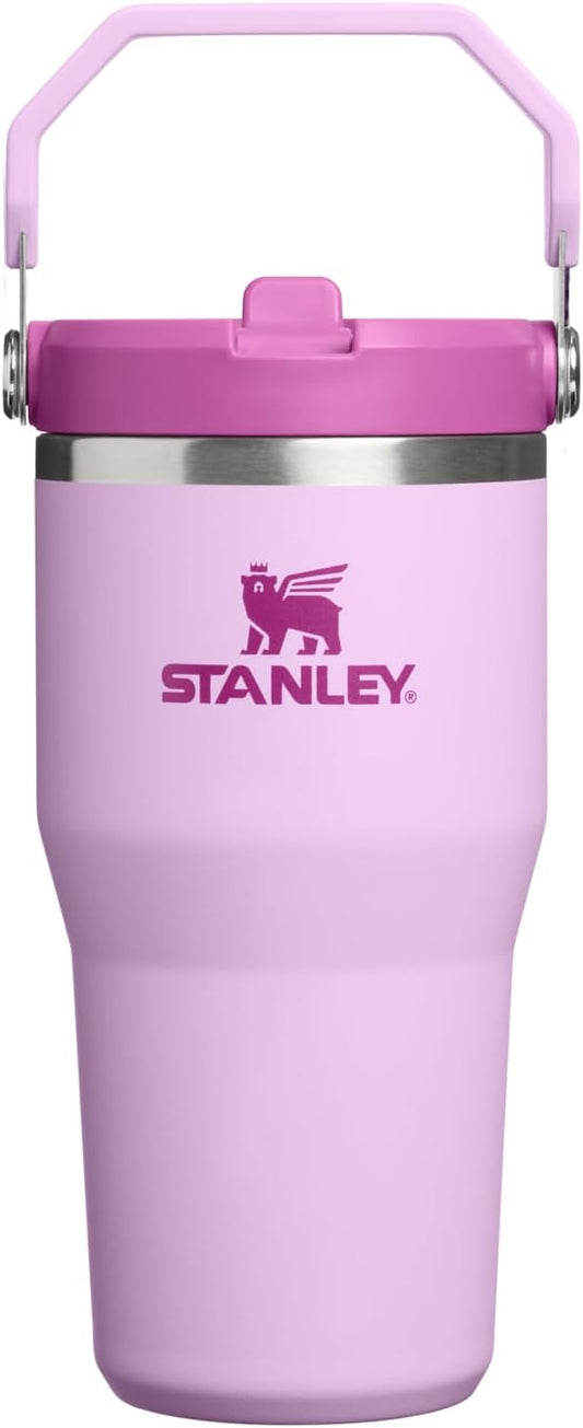 STANLEY IceFlow 2.0 Flip Straw Tumbler with Handle 20 oz | Twist On Lid and Flip Up Straw | Leakproof Water Bottle | Insulated Stainless Steel | BPA-Free | Soft Orchid