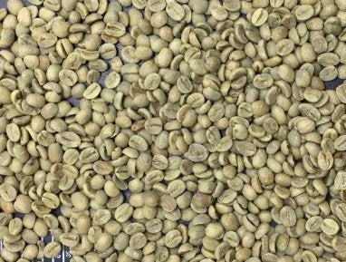 Good Times Coffee Company Green Unroasted Coffee Beans, Guatemalan Cubulco (1 Pound)