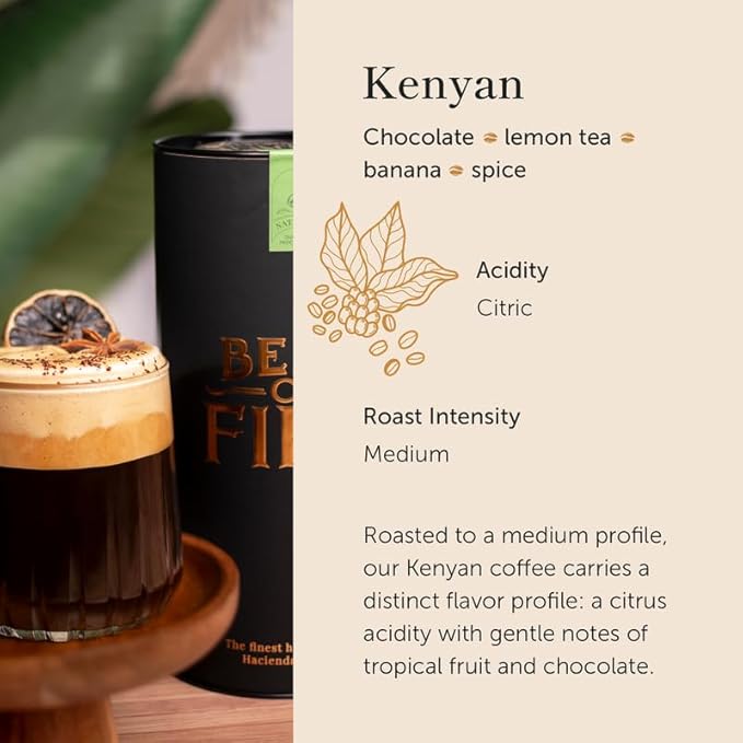 Bean of Fire El Salvador Kenyan Natural Ground Coffee – Medium Roast, Single Origin Specialty, Chocolate & Lemon Cup (16 oz)
