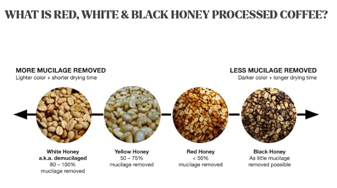 Tesoros Del Pais Green Unroasted Coffee Beans Ahuachapan, El Salvador Single Estate High Elevation (Wet Milled, 5 lb)