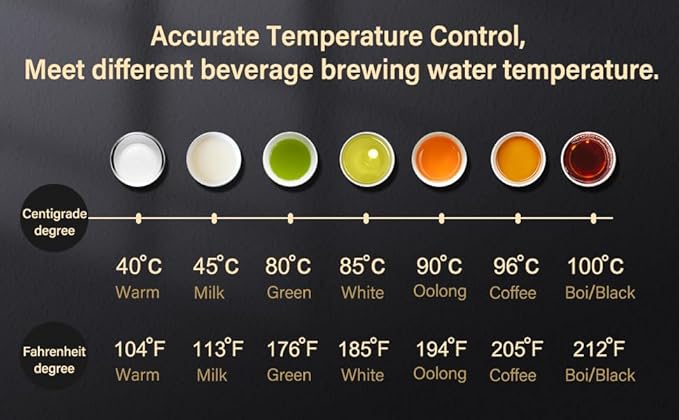 Electric Stainless Steel Gooseneck Kettle Temperature Control Variable For Coffee Tea Pour Over 1000 Watt Quick Heating,0.8QT,BPA free, dry-boil Protection, Touch Screen control 110VAC1000W US PLUG