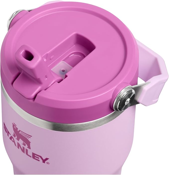 STANLEY IceFlow 2.0 Flip Straw Tumbler with Handle 20 oz | Twist On Lid and Flip Up Straw | Leakproof Water Bottle | Insulated Stainless Steel | BPA-Free | Soft Orchid