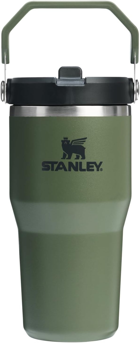STANLEY IceFlow 2.0 Flip Straw Tumbler with Handle 20 oz | Twist On Lid and Flip Up Straw | Leakproof Water Bottle | Insulated Stainless Steel | BPA-Free | Dried Pine