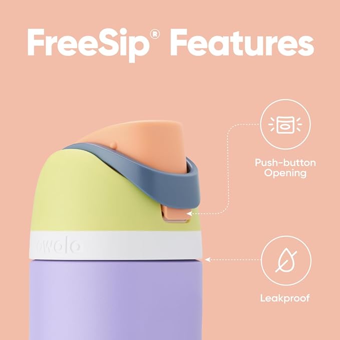 Owala FreeSip Insulated Stainless Steel Water Bottle with Straw for Sports and Travel, BPA-Free Sports Water Bottle, 24 oz, Blue/Green Forest Fairy