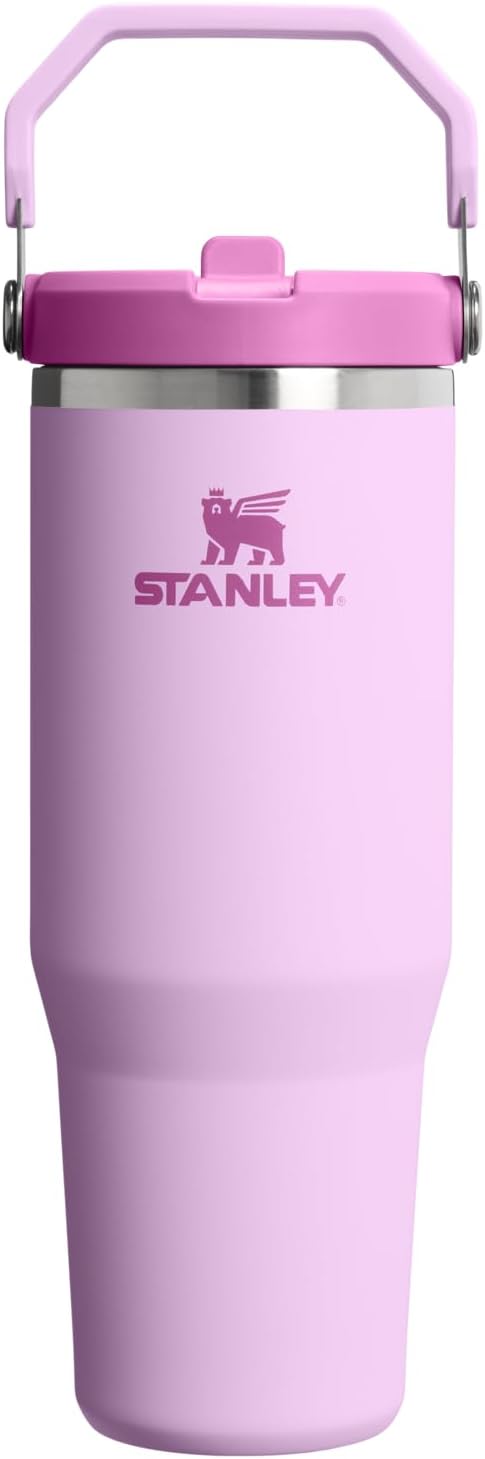 STANLEY IceFlow 2.0 Flip Straw Tumbler with Handle 30 oz | Twist On Lid and Flip Up Straw | Leakproof Water Bottle | Insulated Stainless Steel | BPA-Free | Soft Orchid
