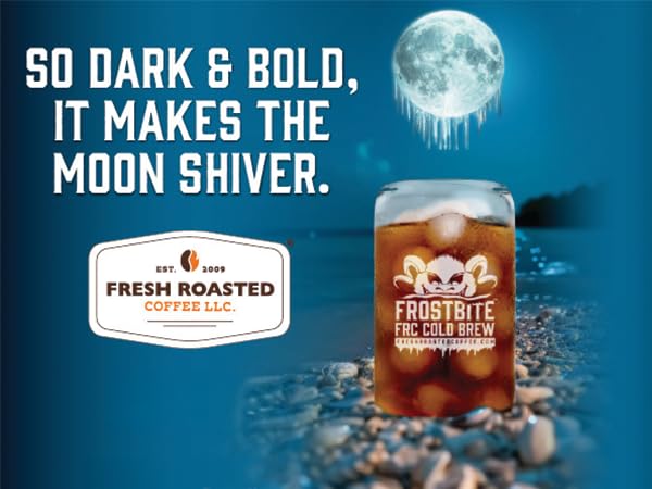 Fresh Roasted Coffee, Organic Dark & Bold Frostbite Cold Brew Coffee Filter Packs | USDA, Kosher | Dark Roast, 12 Count, 24 oz