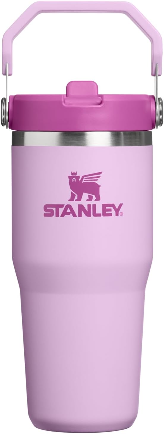 STANLEY IceFlow 2.0 Flip Straw Tumbler with Handle 14 oz | Twist On Lid and Flip Up Straw | Leakproof Water Bottle | Insulated Stainless Steel | BPA-Free | Soft Orchid