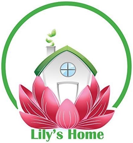Lily's Home Freezer Beer Mugs, Set of 4-16 oz Double Wall Insulated with Liquid Gel, Frosty Chiller Cups, Break-Resistant Acrylic Freezable Glasses for Home Bar, Pool Parties, BBQ & Outdoor Gifts