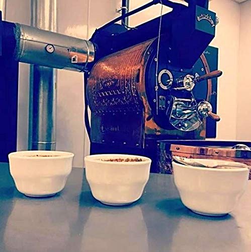 Kenya AA Medium-Dark Roast Coffee Beans, Single Origin Whole Bean or Ground Coffee, Gourmet Coffee - 5lb Bag