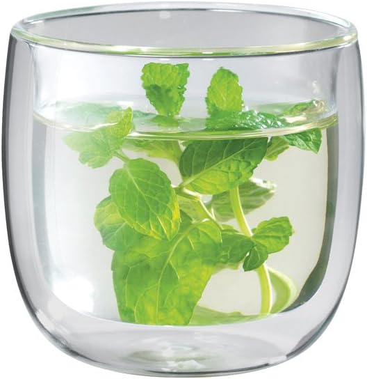 ZWILLING Sorrento 2-pc Double-Wall Glass Tea Cup Set