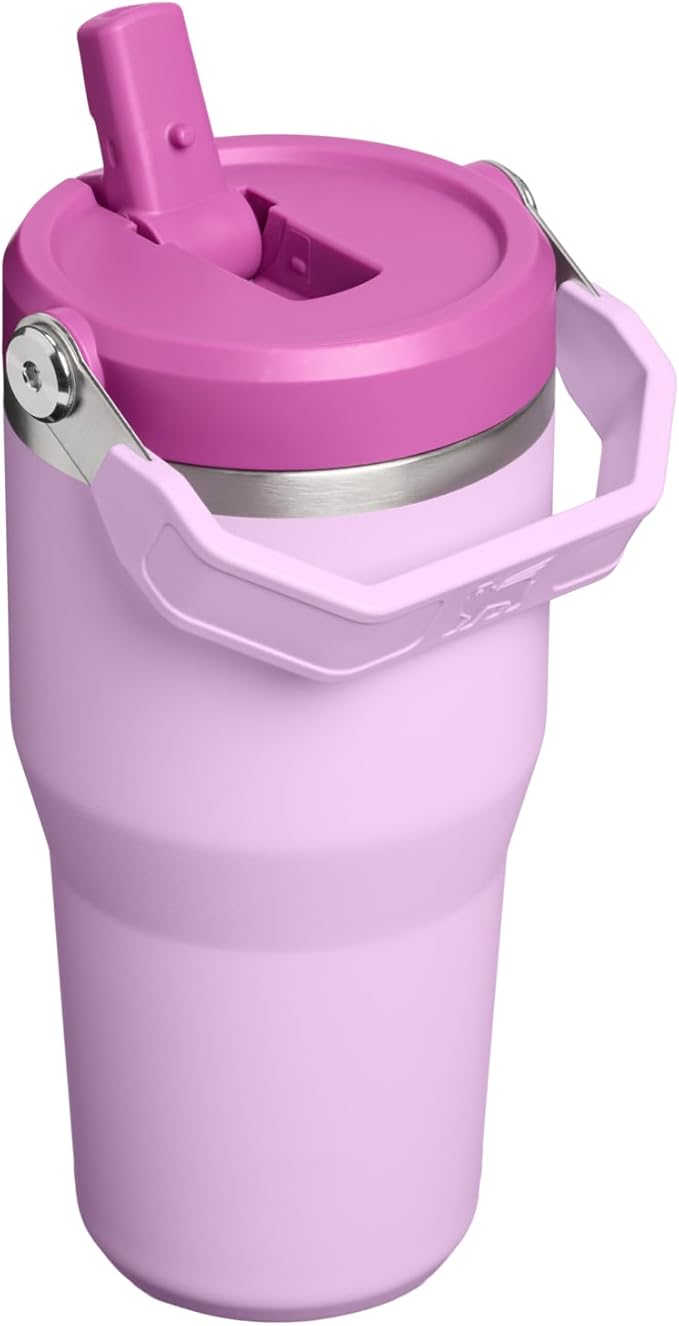 STANLEY IceFlow 2.0 Flip Straw Tumbler with Handle 20 oz | Twist On Lid and Flip Up Straw | Leakproof Water Bottle | Insulated Stainless Steel | BPA-Free | Soft Orchid