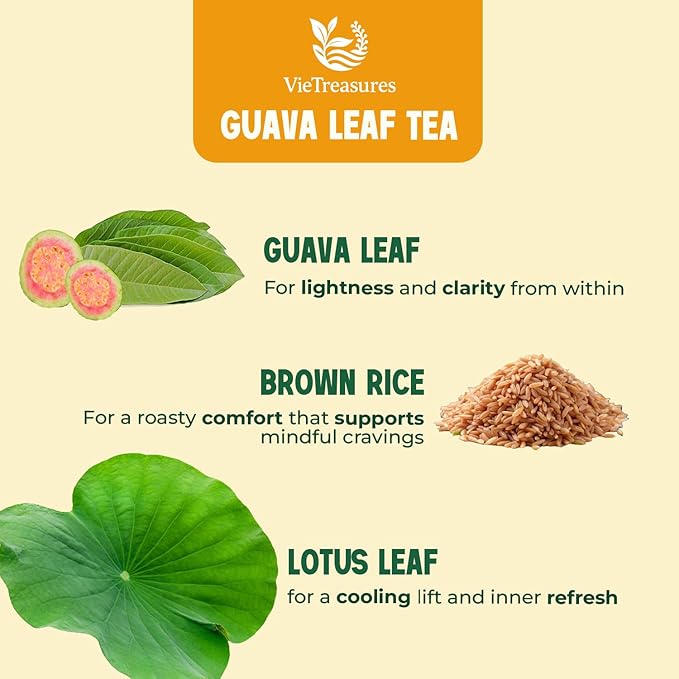 VieTreasures 40 Guava Lotus Leaf Tea Bags | 100% Natural Botanicals Blends, No Caffeine, Vegan, No Sugar | Herbal Tea for Digestion & Weight Balance, Individually Wrapped for Freshness | 2.8oz
