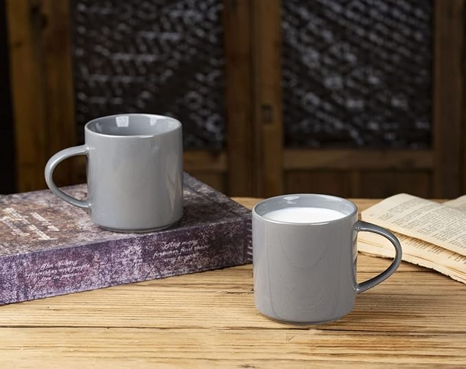 famiware Nebula 4 Pieces Coffee Mug, 14 oz Catering Mugs with Handle for Coffee, Tea, Cocoa, Milk, Dark Gray